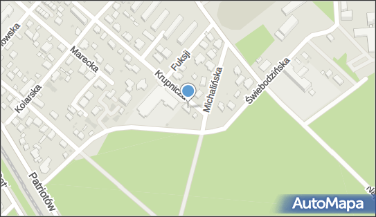 9521234604, Usługi Szkoleniowe w Zakresie Narciarstwa, Raczyńska Katarzyna R 