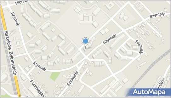 Usługi Taxi, Szymały 136, Bytom 41-933 - Przedsiębiorstwo, Firma, NIP: 6262772356