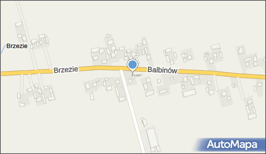 Usługi Transportowe Dziadowicz Waldemar Kijanka Edward, Brzezie 51 27-500 - Przedsiębiorstwo, Firma, NIP: 8631371738