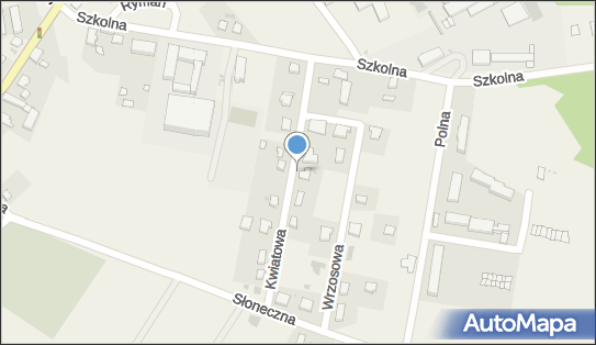 Usługi Transportowe - Kierowca do Wynajęcia Artur Klepuszewski 78-125 - Przedsiębiorstwo, Firma, NIP: 6711281723