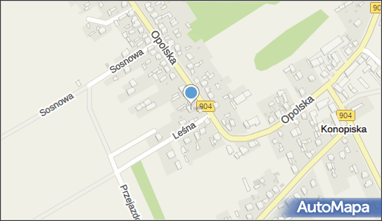 Usługi Transportowe Przewóz Osób Bogdan Ciekot, Opolska 27 42-274 - Przedsiębiorstwo, Firma, numer telefonu, NIP: 5731078290