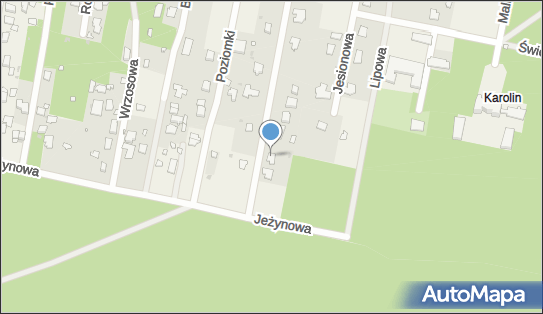 Usługi Transportowe Przewóz Towarów, Czeremchy 15, Otrębusy 05-805 - Przedsiębiorstwo, Firma, NIP: 5341423939