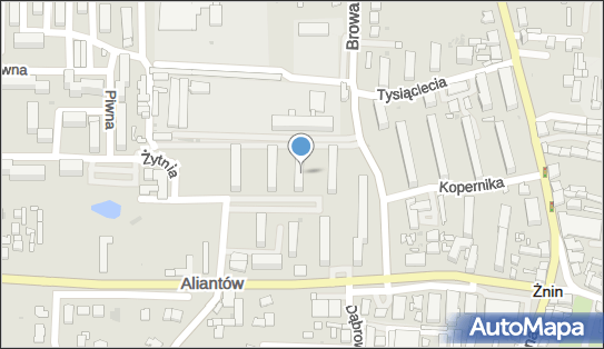 Usługi Transportowe, Browarowa 5, Żnin 88-400 - Przedsiębiorstwo, Firma, NIP: 9570668277