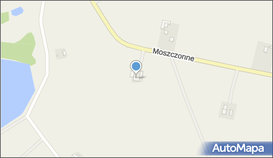 Usługi Transportowe, Moszczonne 11, Moszczonne 87-620 - Przedsiębiorstwo, Firma, NIP: 8931087591