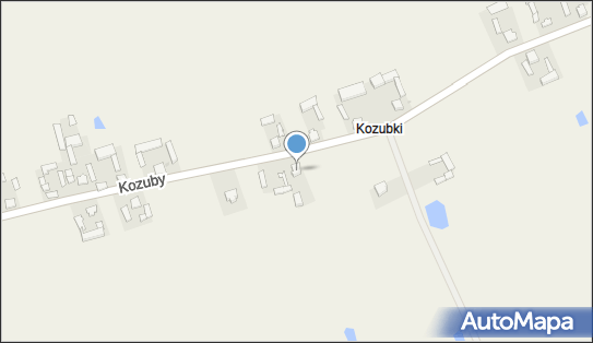 Usługi Transportowe, Kozuby 28a, Kozuby 99-100 - Przedsiębiorstwo, Firma, numer telefonu, NIP: 7751005869