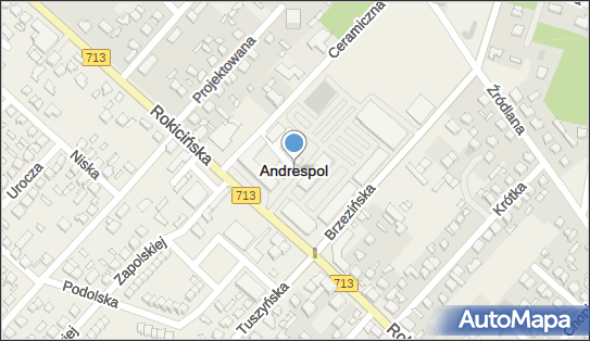 Usługi Transportowe, Andrespol NN, Andrespol 95-020 - Przedsiębiorstwo, Firma, NIP: 7281039114
