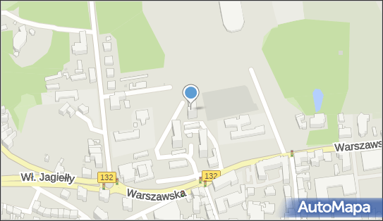 Usługi Transportowe, pl. Staromiejski 5, Gorzów Wielkopolski 66-400 - Przedsiębiorstwo, Firma, NIP: 5991545759