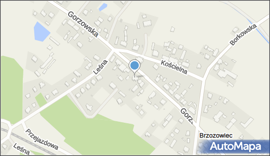 Usługi Transportowe, Gorzowska 24, Brzozowiec 66-446 - Przedsiębiorstwo, Firma, NIP: 5991027705