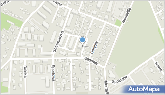 5291554934, Usługi Transportowe 