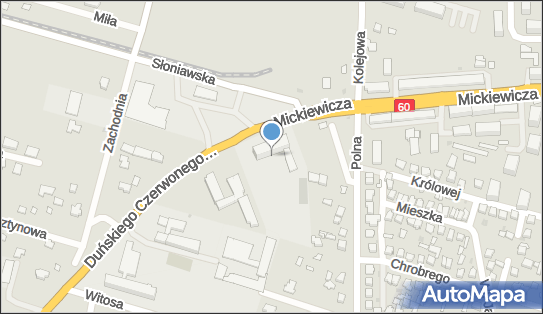 Usługi Transportowe, ul. Adama Mickiewicza 43, Maków Mazowiecki 06-200 - Przedsiębiorstwo, Firma, NIP: 7571097166