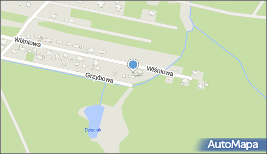 012384623, Usługi Transportowe Grzegorz Piękoś 