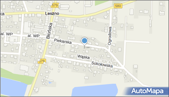 Usługi Transportowe, ul. Piekarska 12, Leszno 05-084 - Przedsiębiorstwo, Firma, NIP: 5291193229