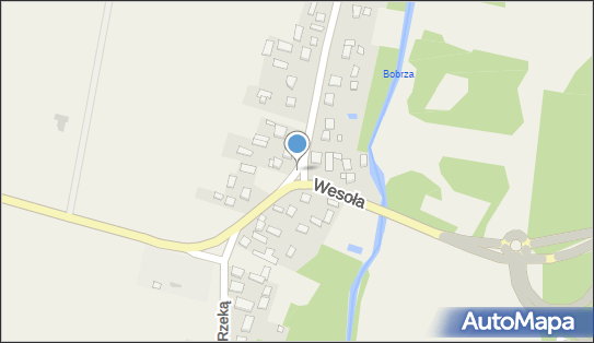 9590895823, Usługi Transportowe Kozieł Marian 