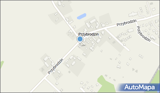 Usługi Transportowe, Przybrodzin 5, Przybrodzin 62-430 - Przedsiębiorstwo, Firma, NIP: 6671292961