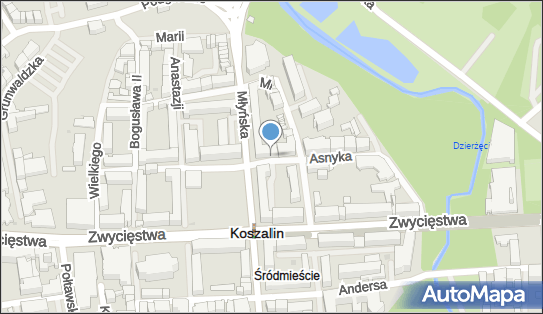 Usługi Transportowe, Asnyka Adama 1, Koszalin 75-003 - Przedsiębiorstwo, Firma, NIP: 6691572215