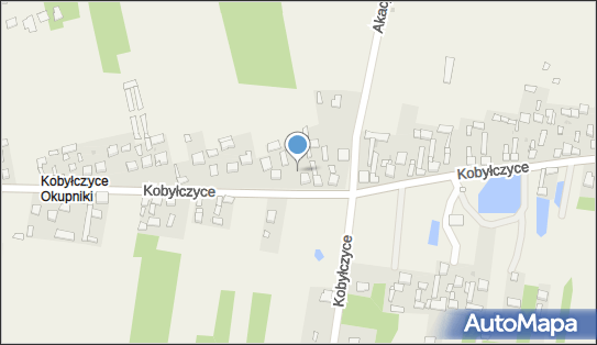 Usługi Turystyczne, Przewóz Osób i Towarów Ireneusz Kowalczyk 42-244 - Przedsiębiorstwo, Firma, NIP: 9490069238