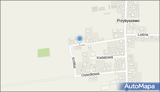 6971551208, Usługi w Kierowaniu Pojazdami Jacek Roszak, Przybyszewo 