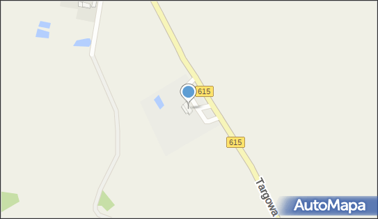 130073640, Romanowski Mirosław - Usługi Weterynaryjne 