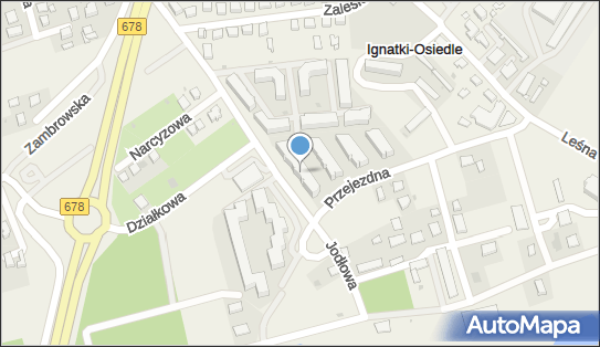 Usługi, Jodłowa 4, Ignatki-Osiedle 16-001 - Przedsiębiorstwo, Firma, NIP: 9521994031