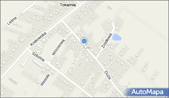 Virgo Krystian Nawrot, Tokarnia 162, Tokarnia 26-060 - Przedsiębiorstwo, Firma, NIP: 9591356695