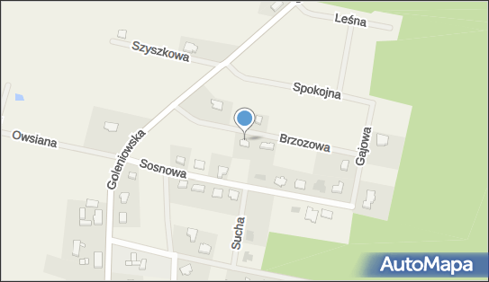 Vision Consulting Martyna Nowak, Brzozowa 8, Rurzyca 72-123 - Przedsiębiorstwo, Firma, NIP: 5971633785