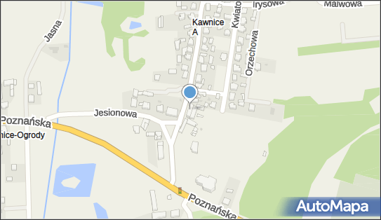 Vita, Kawnice 6, Kawnice 62-590 - Przedsiębiorstwo, Firma, NIP: 6652975794