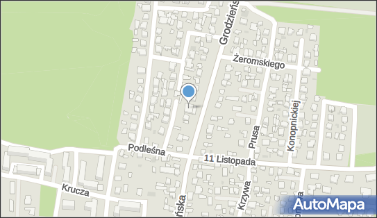 Vizagolift Adrianna Butkiewicz, Grodzieńska 101, Wasilków 16-010 - Przedsiębiorstwo, Firma, numer telefonu