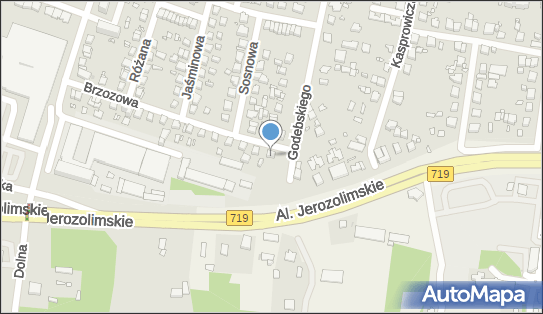 w.M.J Marta Janke, Brzozowa 1, Piastów 05-820 - Przedsiębiorstwo, Firma, NIP: 5342153399