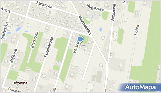 Waldemar Czeszejko - Działalność Gospodarcza, ul. Wesoła 4 96-321 - Przedsiębiorstwo, Firma, NIP: 5261601586