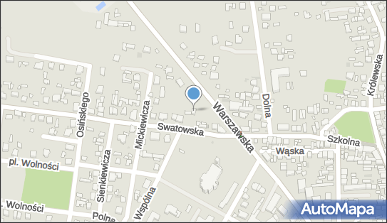 Waldemar-Janusz Głodek, Warszawska 37, Ryki 08-500 - Przedsiębiorstwo, Firma, NIP: 7161221520