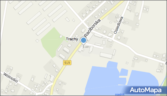 Waldemar Jeleń, Raciborska 37, Trachy 44-153 - Przedsiębiorstwo, Firma, NIP: 6311208036