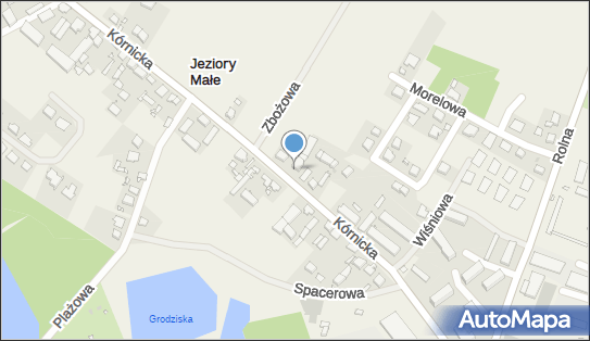 Walkowiak Aldona, Firma Handlowa P&ampP, Kórnicka 4, Jeziory Małe 63-020 - Przedsiębiorstwo, Firma, NIP: 7861531205