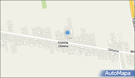 Walo Danuta Skup i Ubój Bydła Rzeźnego, Główna 38, Brudzowice 42-470 - Przedsiębiorstwo, Firma, NIP: 6491013847