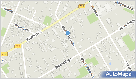Walorex, ul. Marszałkowska 8, Milanówek 05-822 - Przedsiębiorstwo, Firma, NIP: 6250012272
