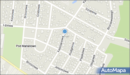 Warsztat Elektromechaniczny Ochlak Krzysztof, Kasztanowa 5 13-300 - Przedsiębiorstwo, Firma, NIP: 8771090005