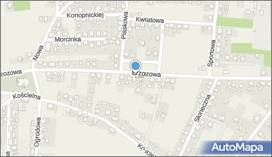 Warsztat Samochodowy, Brzozowa 26, Dziergowice 47-244 - Przedsiębiorstwo, Firma, NIP: 7491577906