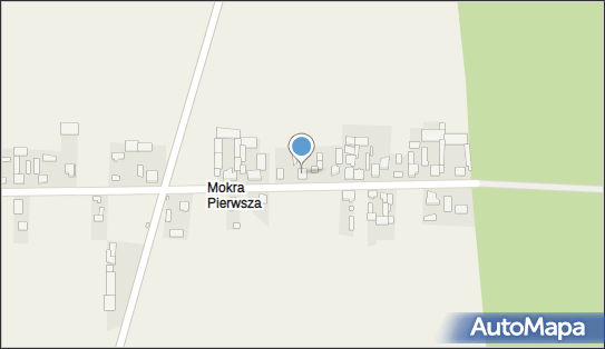 Warzywa i Owoce, Mokra 20, Mokra 42-120 - Przedsiębiorstwo, Firma, NIP: 5842597828