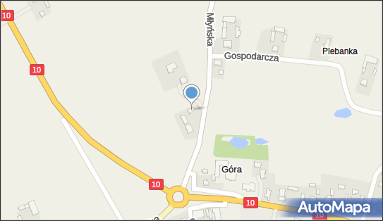 Wasilew Dariusz Zakład Usługowo-Handlowy, ul. Młyńska 2 09-440 - Przedsiębiorstwo, Firma, NIP: 7741683929