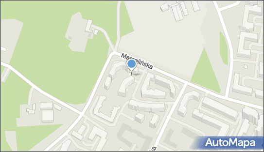 Wasilewski Studio Przemysław Wasilewski, ul. Marcelińska 98A 60-324 - Przedsiębiorstwo, Firma, NIP: 8442053121