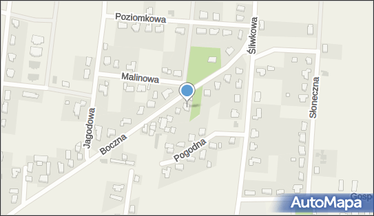 Waszkowiak Adam Wasz Optyk, Boczna 34, Biskupice 62-007 - Przedsiębiorstwo, Firma, NIP: 7821648800