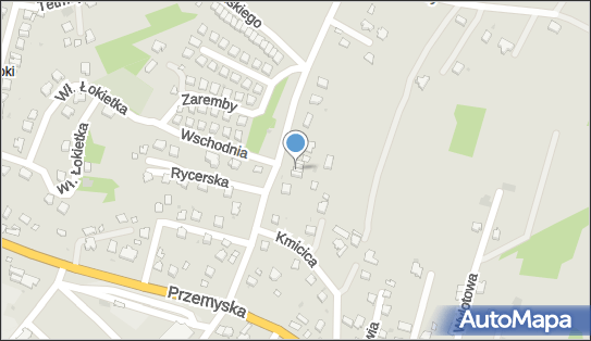 Wawrzyniec Sieniawski A U T O M i X, ul. Chrobrego 12B, Sanok 38-500 - Przedsiębiorstwo, Firma, NIP: 6871207842