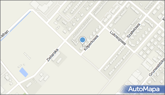 Wer-Art, Koperkowa 7, Plewiska 62-064 - Przedsiębiorstwo, Firma, NIP: 7822083895