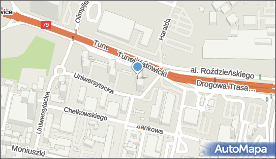 Weronika Sikora, ul. Uniwersytecka 29, Katowice 40-007 - Przedsiębiorstwo, Firma, NIP: 9541033300