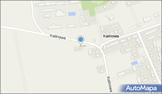 West East Trans, Kalinowa 12, Kalinowa 98-235 - Przedsiębiorstwo, Firma, NIP: 8272048108