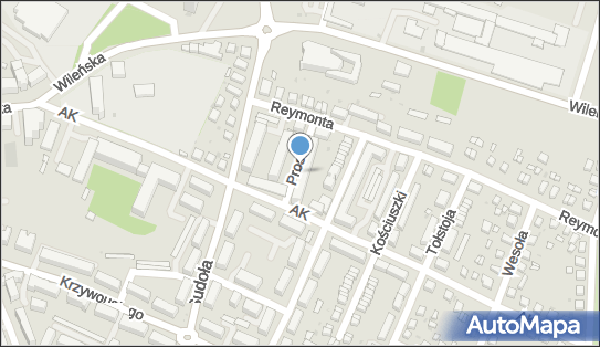 Wieczorek F., Oleśnica, Prosta 5, Oleśnica 56-400 - Przedsiębiorstwo, Firma, NIP: 9111558313