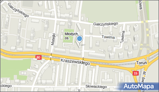 Wieczorek Leszek, ul. Stanisława Moniuszki 43, Toruń 87-100 - Przedsiębiorstwo, Firma, NIP: 9561261814