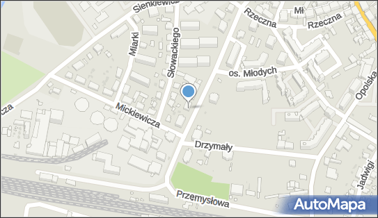 Wielisława Bitka Studio Kosmetyczne, Dworcowa 32, Wołczyn 46-250 - Przedsiębiorstwo, Firma, NIP: 7511324204