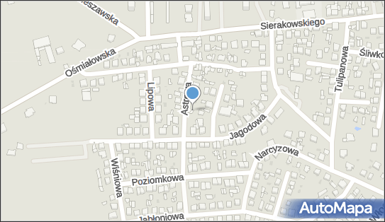 Wiesław Grubecki, Astrowa 2, Lipno 87-600 - Przedsiębiorstwo, Firma, NIP: 8931069280