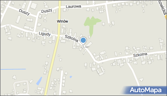 Wiesław Radzik - Działalność Gospodarcza, ul. Szkolna 12, Opole 46-017 - Przedsiębiorstwo, Firma, NIP: 7541325071