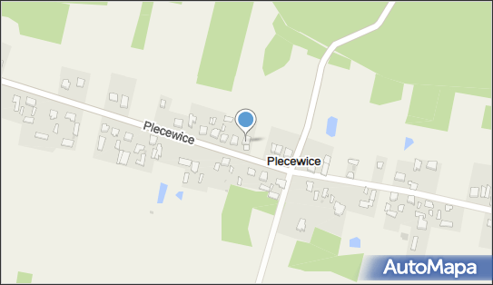 5290015810, Wiesława Leszczyńska Sklep Spożywczo-Przemysłowy 